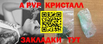 стаф Будённовск