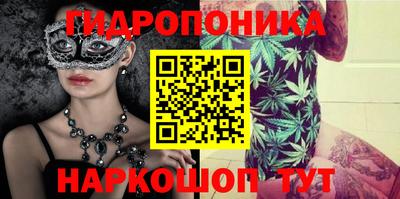 стаф Будённовск